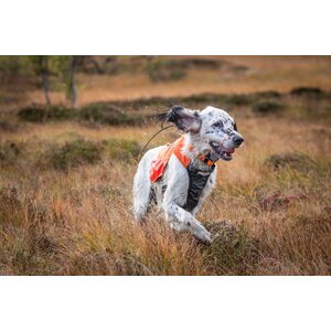 Non-Stop Protector Vest