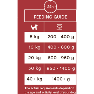 Monster Dog Adult Single Beef 400g