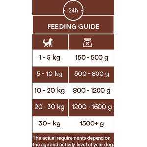 Monster Dog Puppy Beef 400g